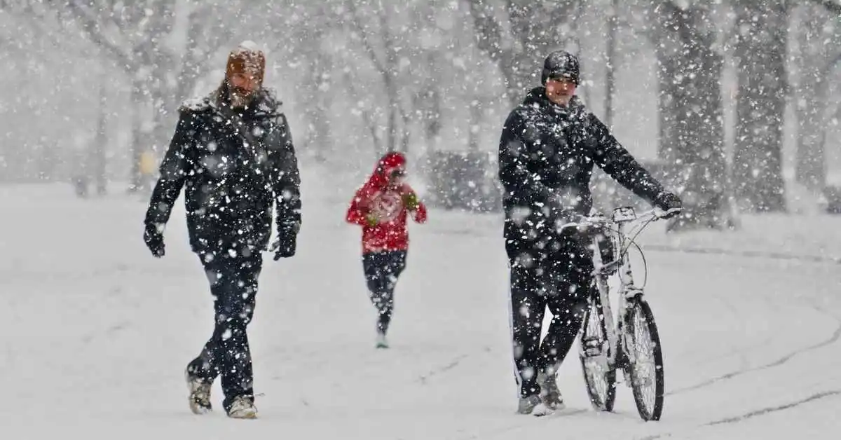 Home 7 Snow, Ice, and Brutal Cold to Paralyze the US as Massive Winter Storm Arrives